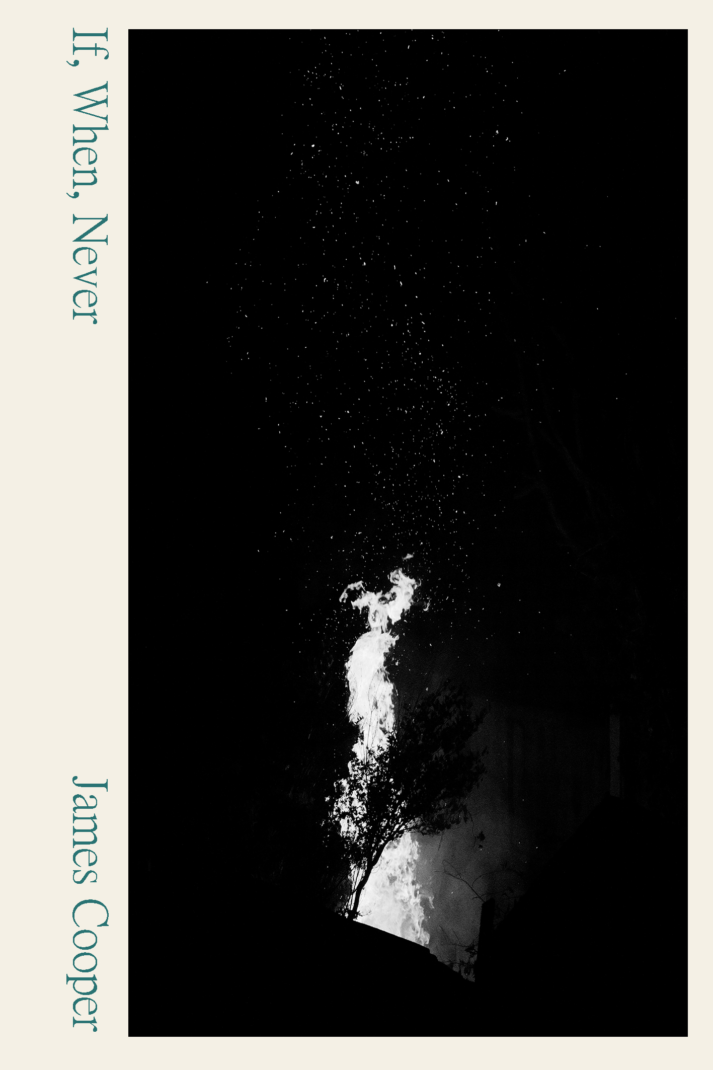 If, When, Never - James Cooper